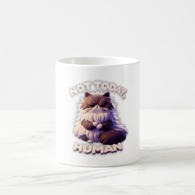Caneca De Café Gato Grumpy "Hoje Não, Humano" Engraçado Coffee Mu (Centro)
