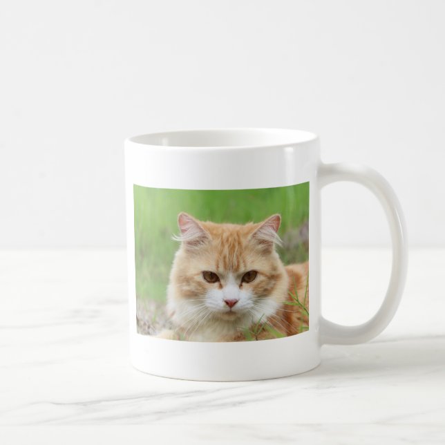 Caneca De Café Gato Laranja e Branco, tão fofo! (Direita)