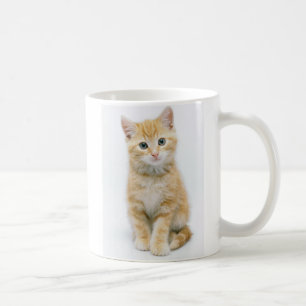 Caneca De Café Gato malhado da laranja doce