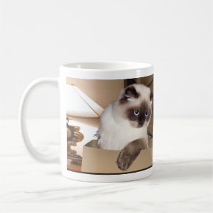 Caneca De Café Gato na caixa