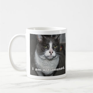 Caneca De Café Gato Não Estou Divertido