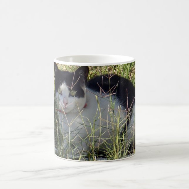 Caneca De Café Gato Negro E Branco No Jardim, (Centro)