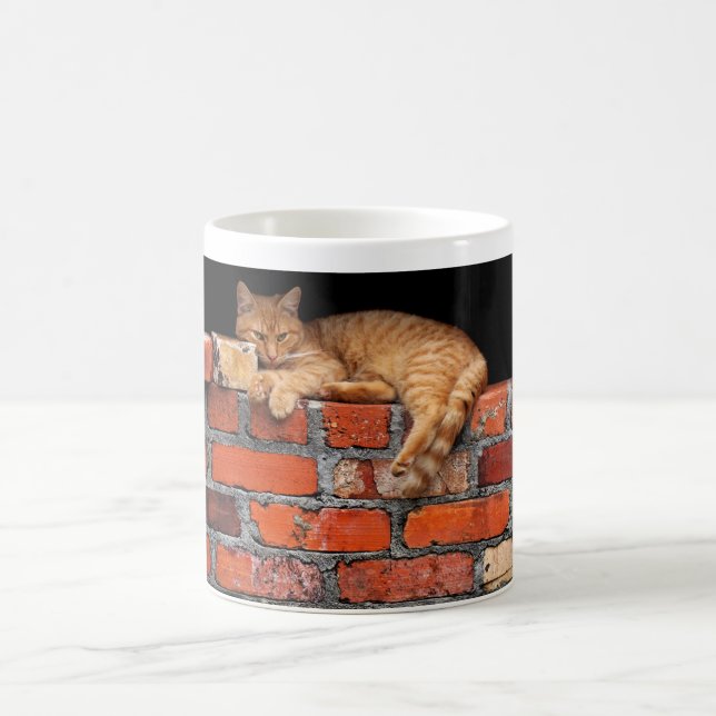 Caneca De Café Gato no Muro de Tijolos (Centro)
