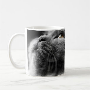 Caneca De Café Gato persa cinzento