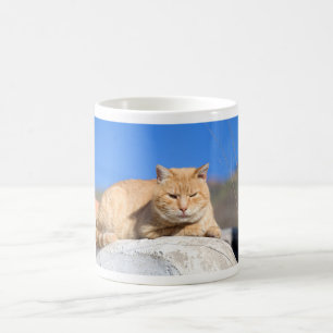 Caneca De Café Gato preguiçoso