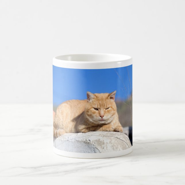 Caneca De Café Gato preguiçoso (Centro)