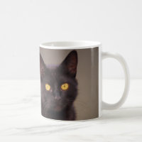 Gato Preto com Mug de Olhos Amarelo