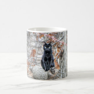 Caneca De Café Gato Preto Sentado ao Ar Livre
