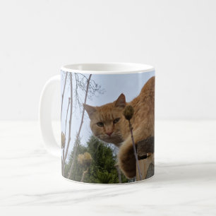 Caneca De Café Gato ruivo