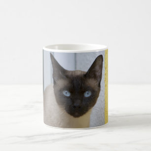 Caneca De Café Gato Siamese do ponto bonito do selo