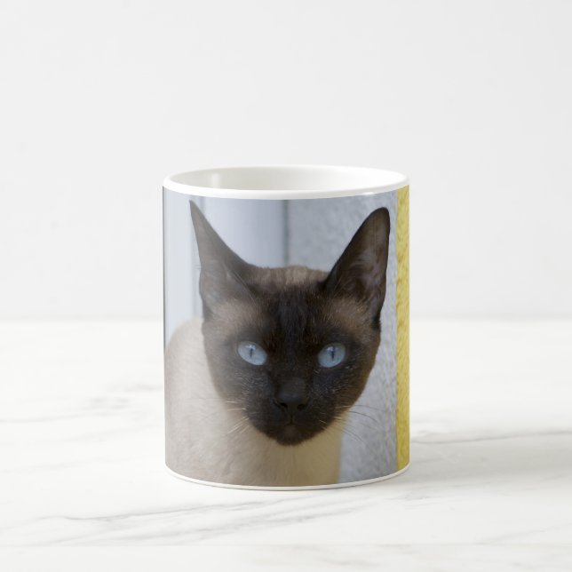 Caneca De Café Gato Siamese do ponto bonito do selo (Centro)