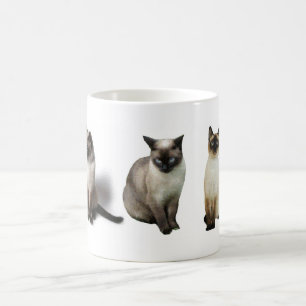 Caneca De Café Gatos Siamese