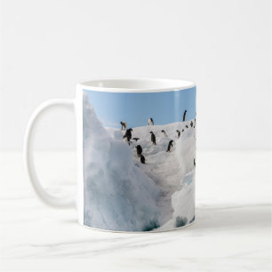 Caneca De Café Gentoo Penguin Antártica Iceberg Playtime