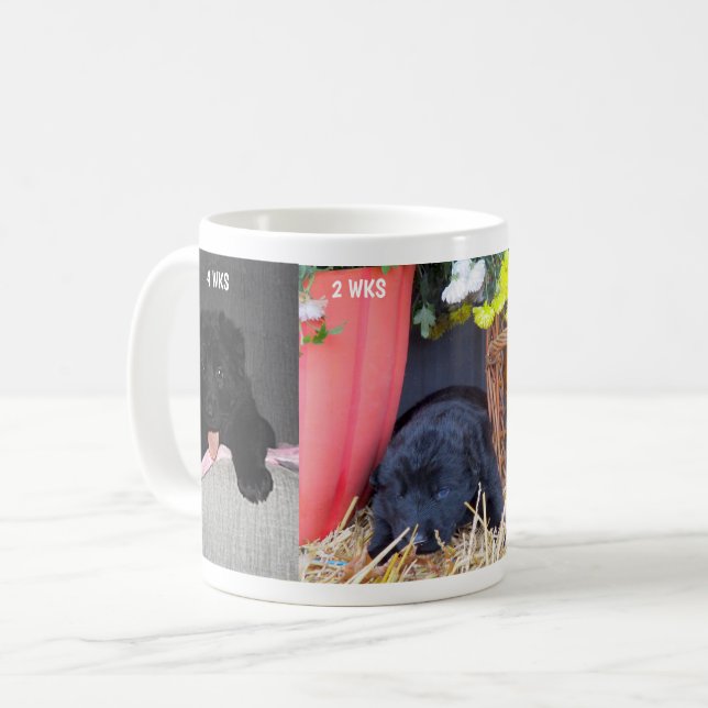 Caneca De Café German shepherd Negro Puppy 2 a 4 semanas de idade (Frente Esquerda)