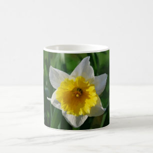 Caneca De Café Giant Daffodil