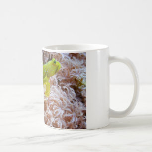 Caneca De Café Gobá de camarão-amarelo