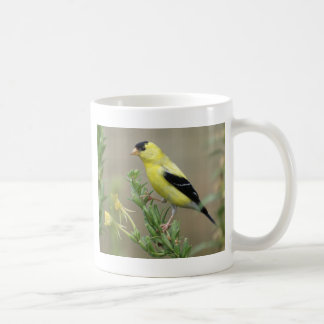 Caneca De Café Goldfinch