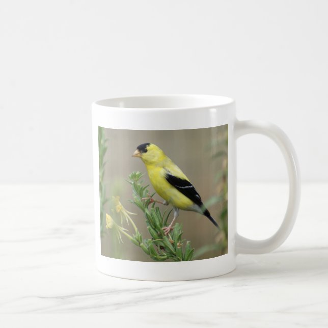 Caneca De Café Goldfinch (Direita)