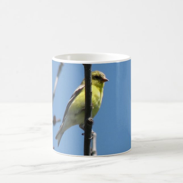 Caneca De Café Goldfinch em uma árvore (Centro)