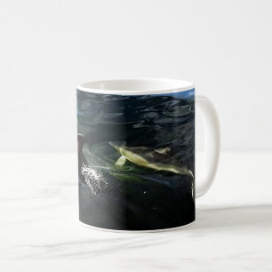 Caneca De Café Golfinho Comum Mãe E Bebê Vida Marinha Cênica