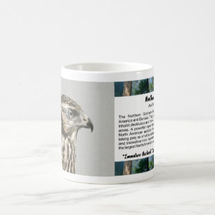 Caneca De Café Goshawk imaturo