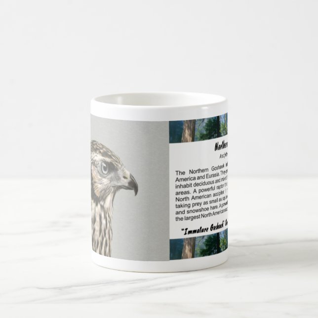 Caneca De Café Goshawk imaturo (Centro)