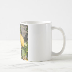 Caneca De Café Gráficos de Limão Espanhol
