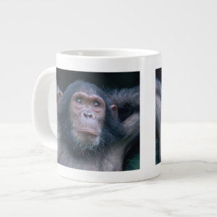 Caneca De Café Grande África, África Oriental, Tanzânia, Parque Nacional