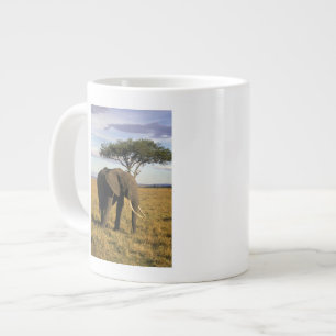 Caneca De Café Grande África, Quênia, Maasai Mara. Um elefante no