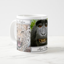 Animais de café