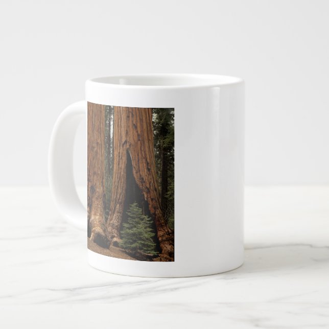 Caneca De Café Grande Árvores Redwood, Parque Nacional Sequoia. (Frente Esquerda)