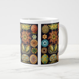 Caneca De Café Grande Ascidiae por Ernst Haeckel, Animais Marinhos Antig