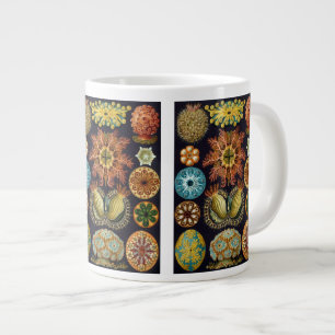 Caneca De Café Grande Ascidiae por Ernst Haeckel, Animais Marinhos Antig