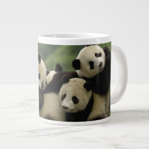 Caneca De Café Grande bebês de panda gigante Ailuropoda melanoleuca)