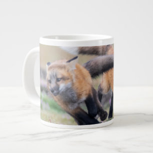 Caneca De Café Grande Bebês Mais Pobres Fox Pups em Play
