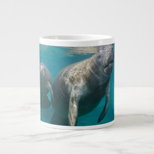 Caneca De Café Grande Bebês Mais Pobres   Manateio e Bebê