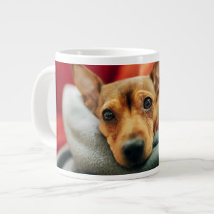 Caneca De Café Grande Bebês Mais Pobres   Pinscher miniatura