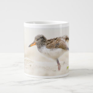 Caneca De Café Grande Bebês Mais Pobres Pintinho de Oystercatcher Amer