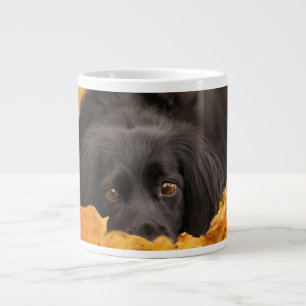 Caneca De Café Grande Bebês Mais Pobres Puppia Espanhola Negra