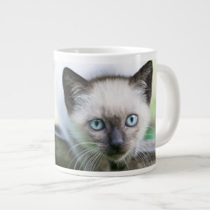 Caneca De Café Grande Bebês Mais Pobres   Siamese Kitten 2