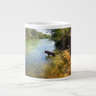 Caneca De Café Grande Cachorro no Lago Ladybird - Centro Austin Texas
