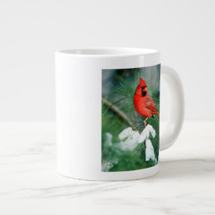 Caneca De Café Grande Cardinal-do-norte macho na árvore, IL