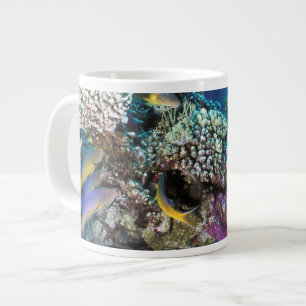 Caneca De Café Grande Cardumes de Salmonete em torno de pequeno coral