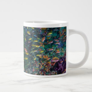 Caneca De Café Grande Cardumes nadam no recife