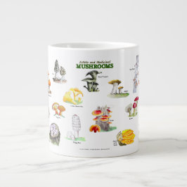 Caneca De Café Grande Cogumelos - Nomes comuns