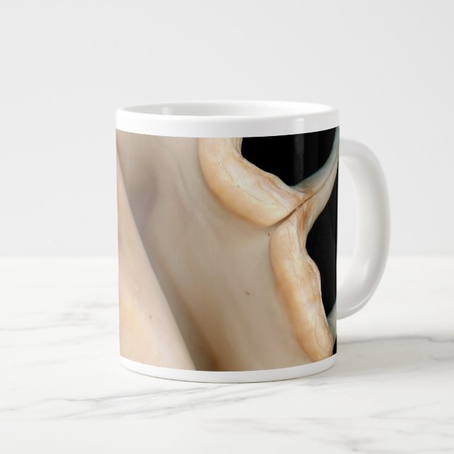 Caneca De Café Grande Concha - Concologia - Concha (Frente Esquerda)