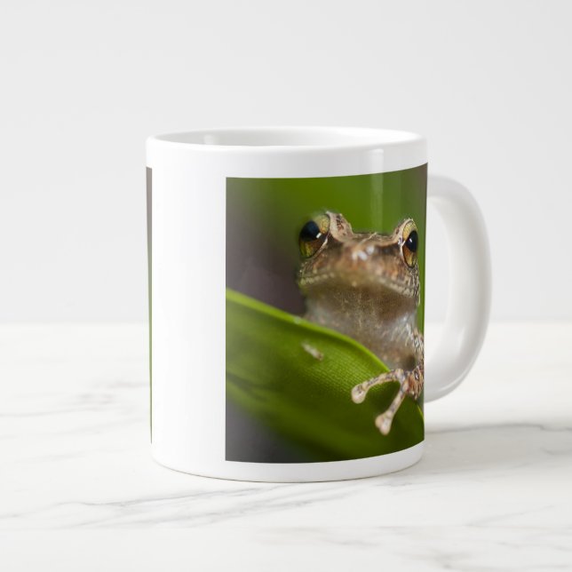 Caneca De Café Grande Coqui comum, Eleutherodactylus coqui (Frente Esquerda)