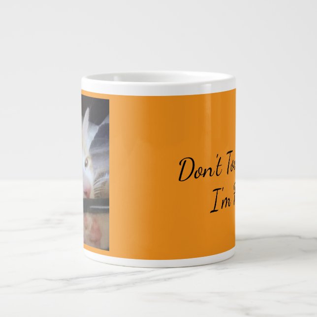 Caneca De Café Grande "Don't Touch Me, I'm Feral" Grumpy Cat  (Frente)