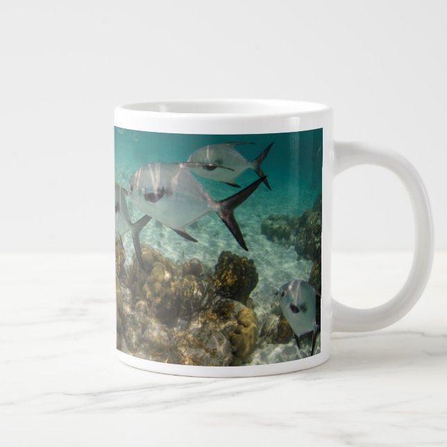 Caneca De Café Grande Escola de Peixe de Licença (Direita)