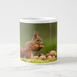 Caneca De Café Grande esquilo comendo noz